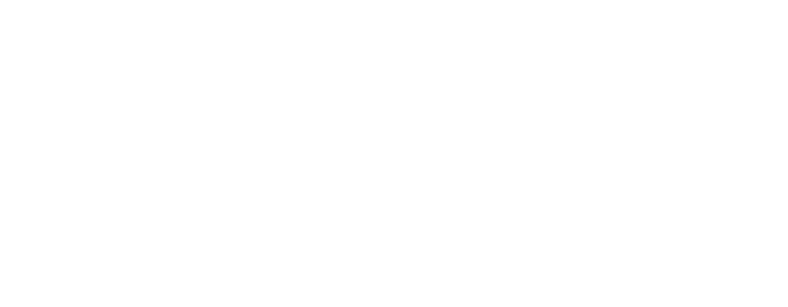 Light Logo