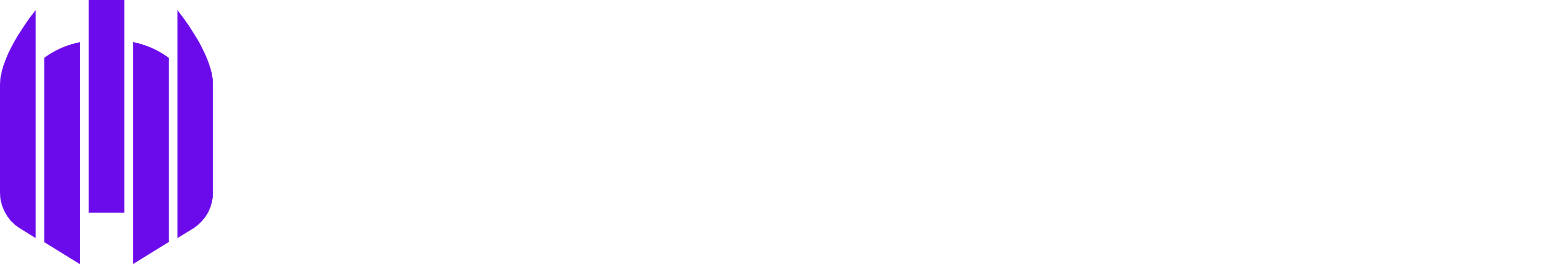 White Logo