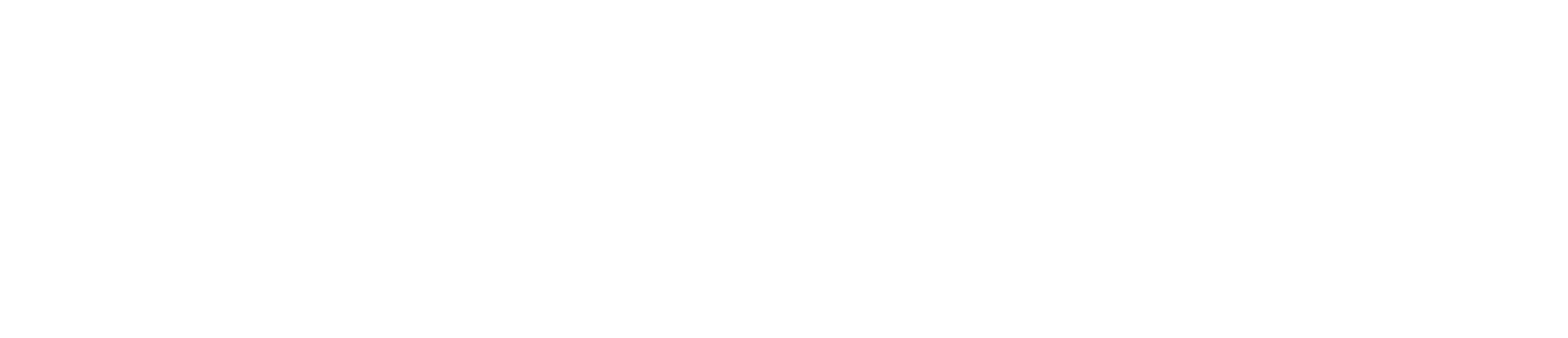 White Logo