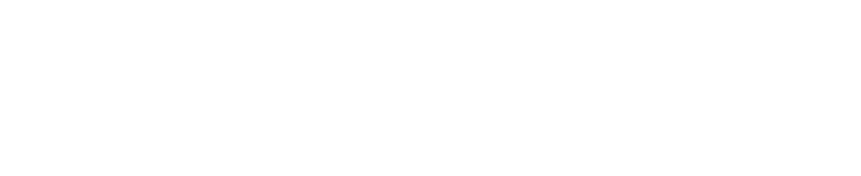 White Logo