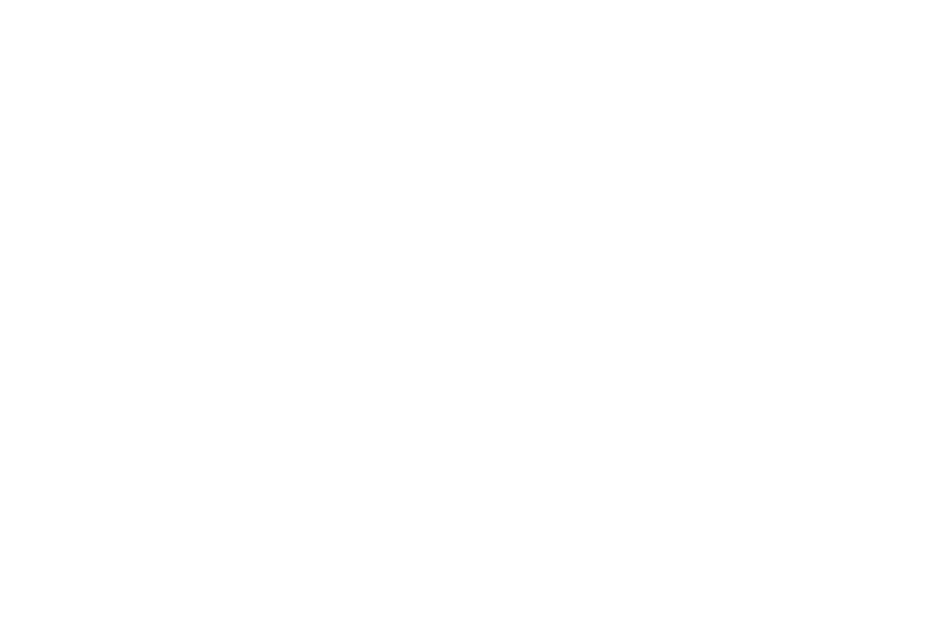 White Logo