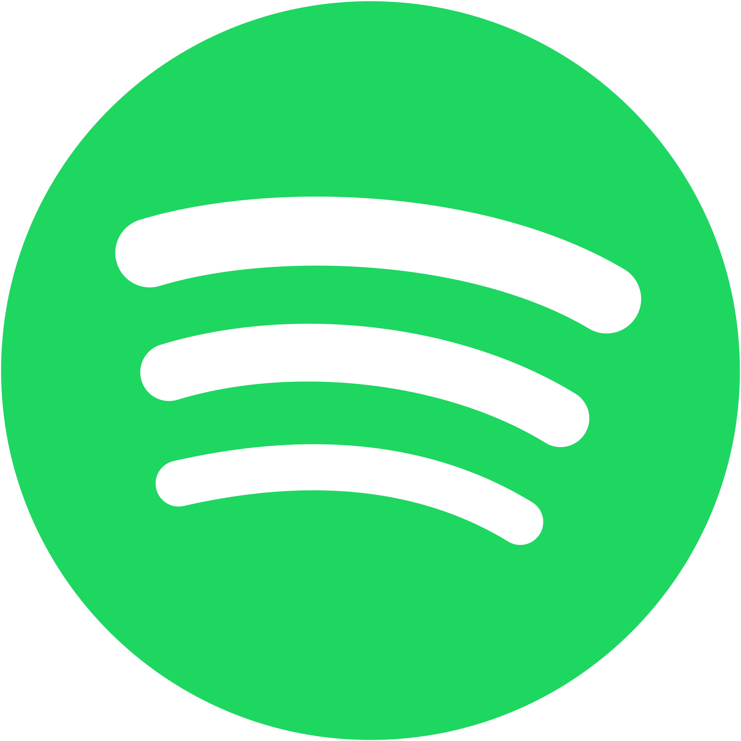 Icon Logo