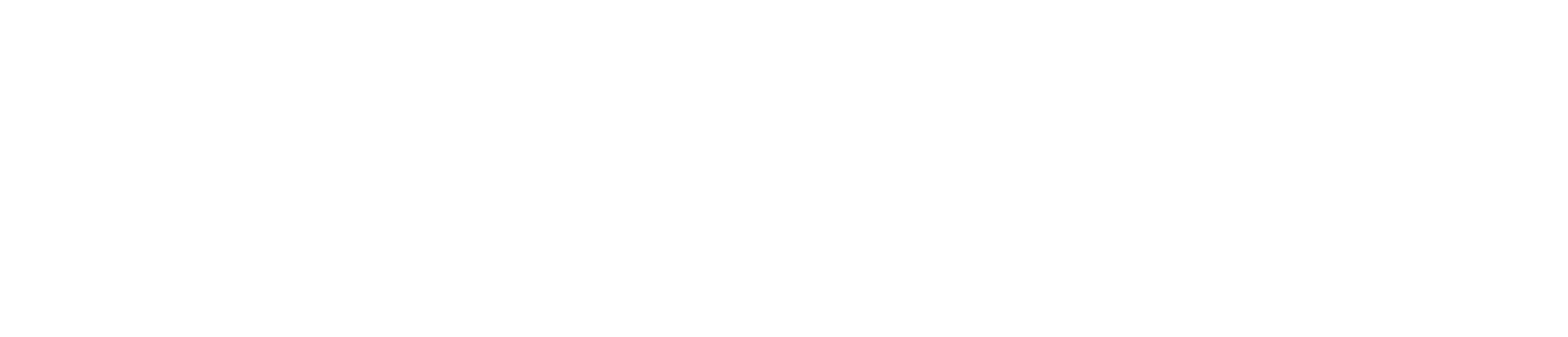 White Logo