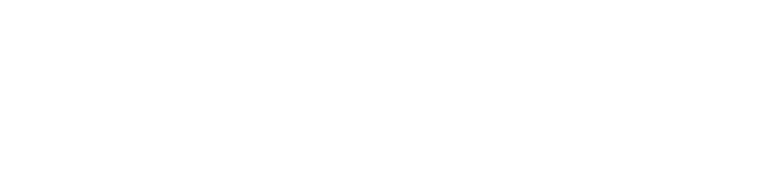 White Logo