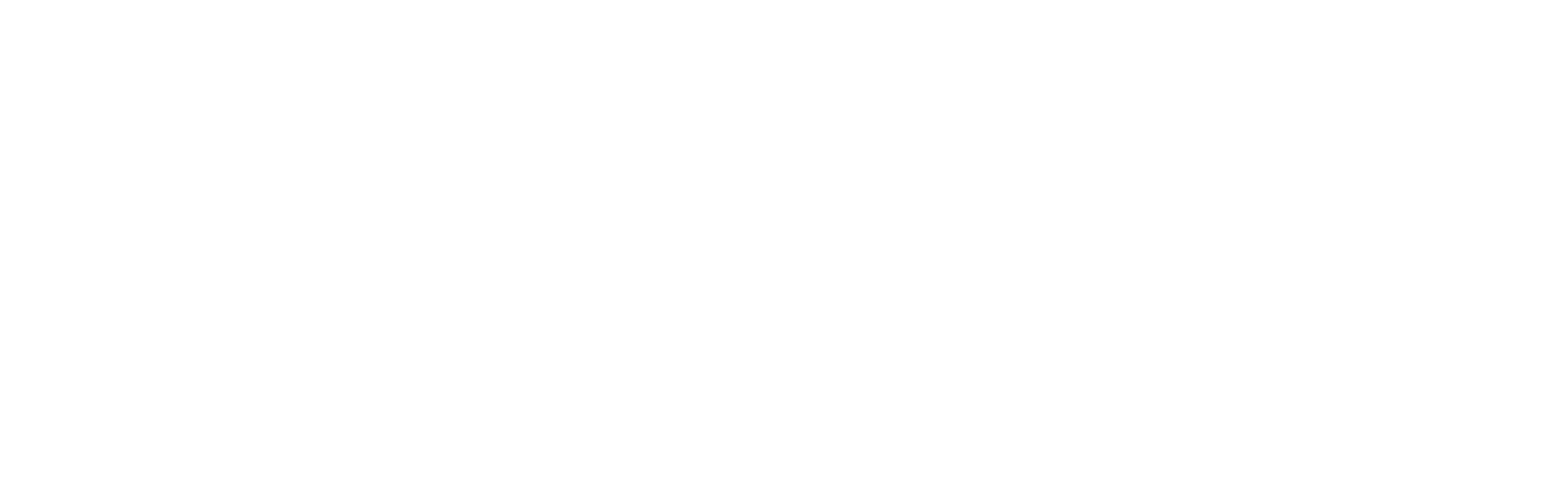 White Logo