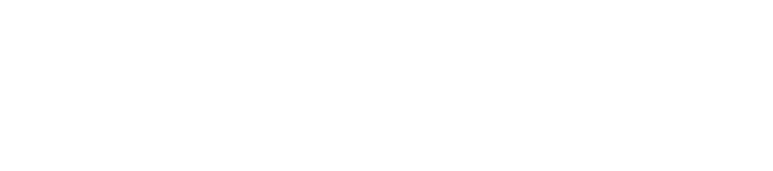 White Logo