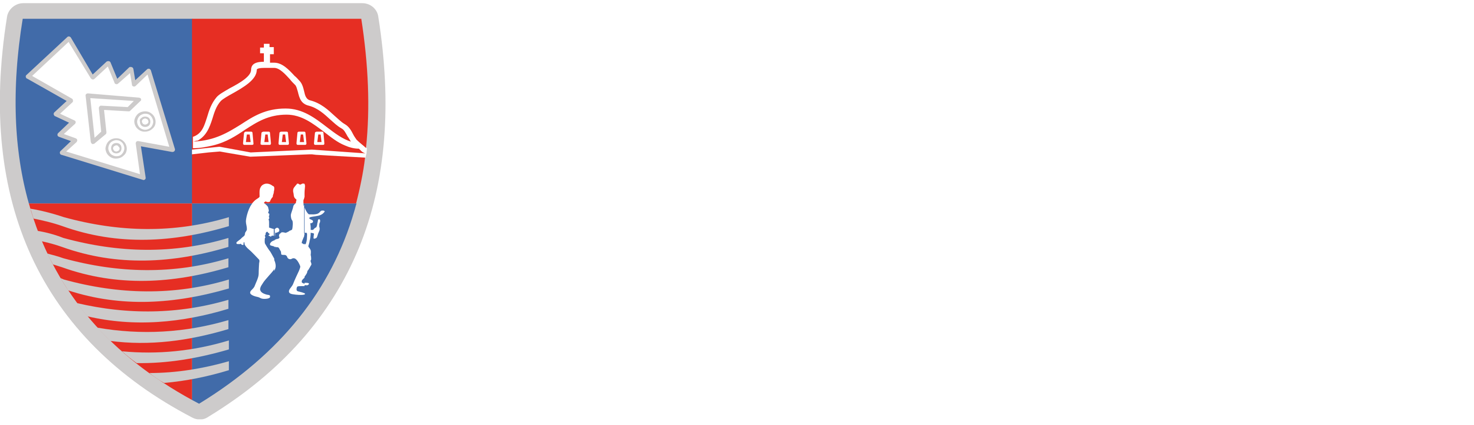 White Logo