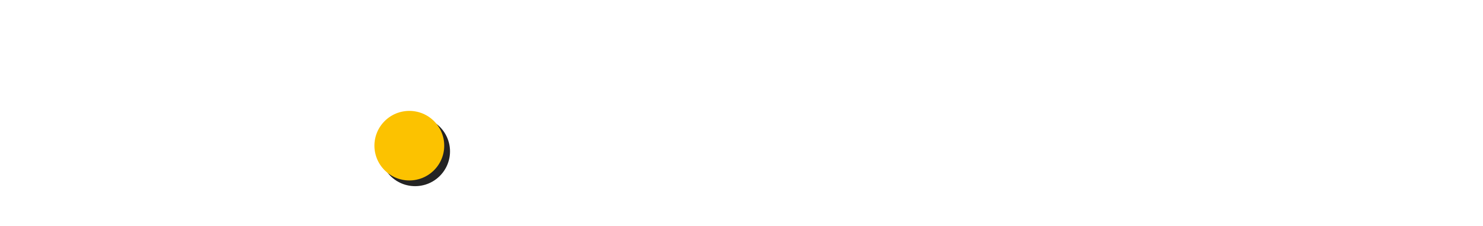 White Logo