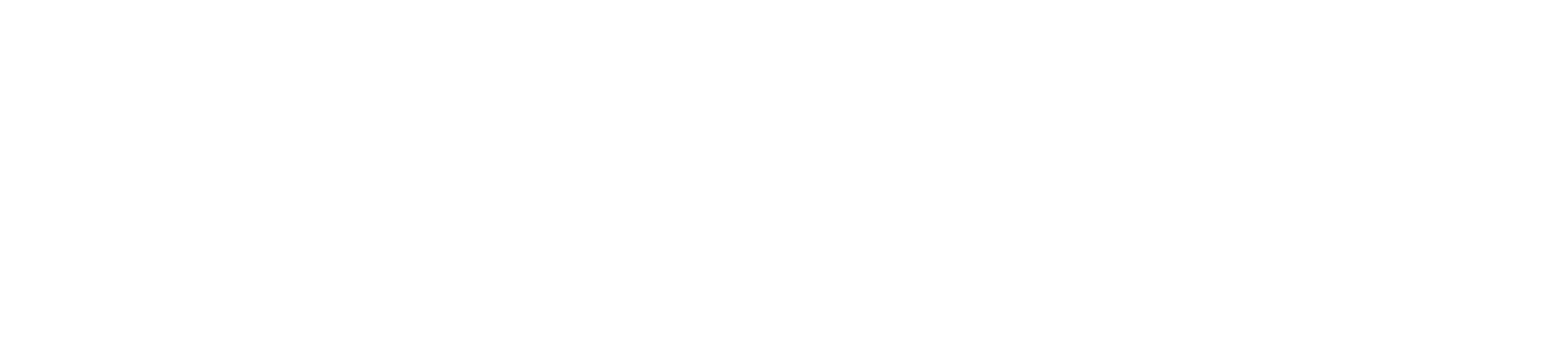 White Logo