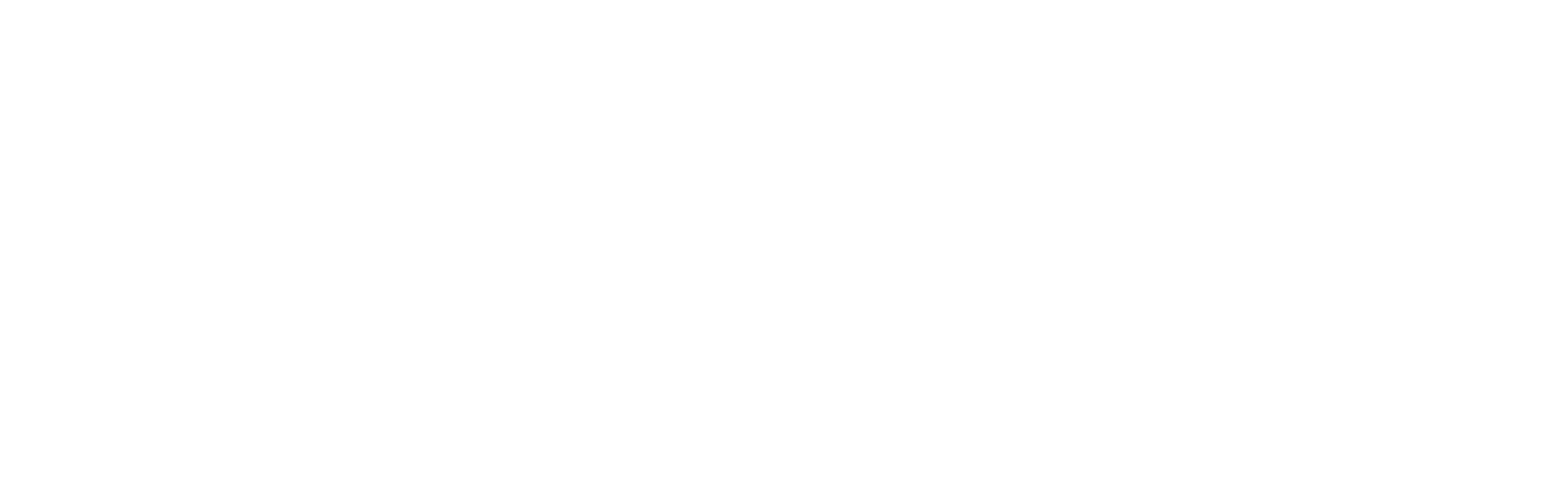 White Logo