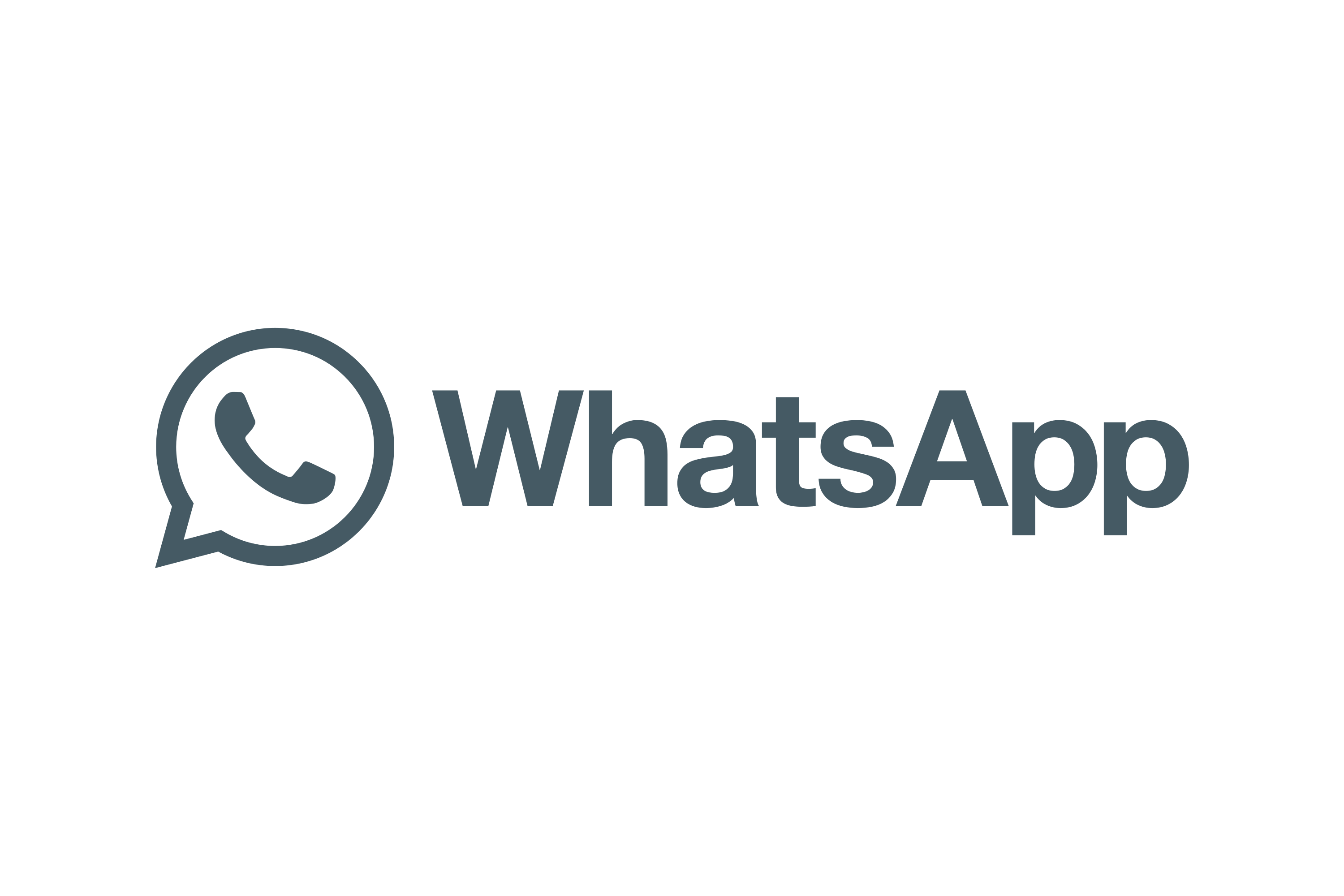 Monochrome Horizontal Logo