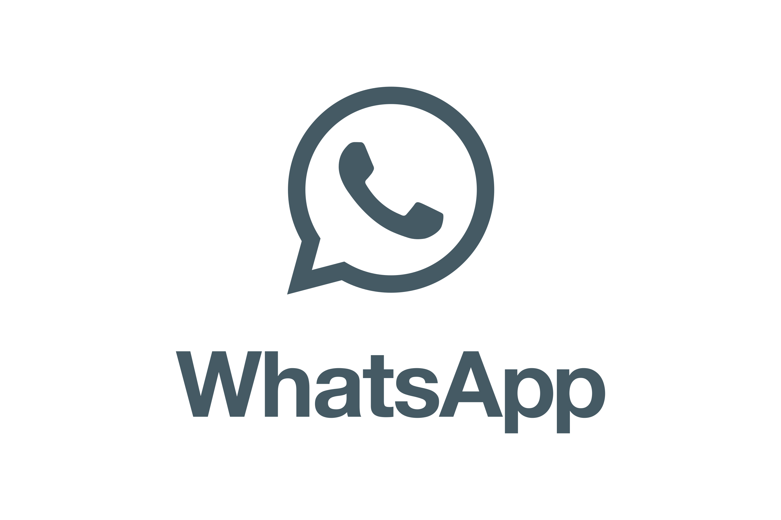 Monochrome Logo
