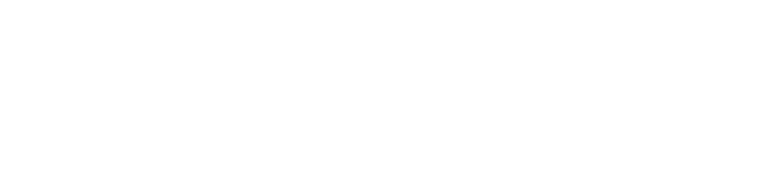 White Logo