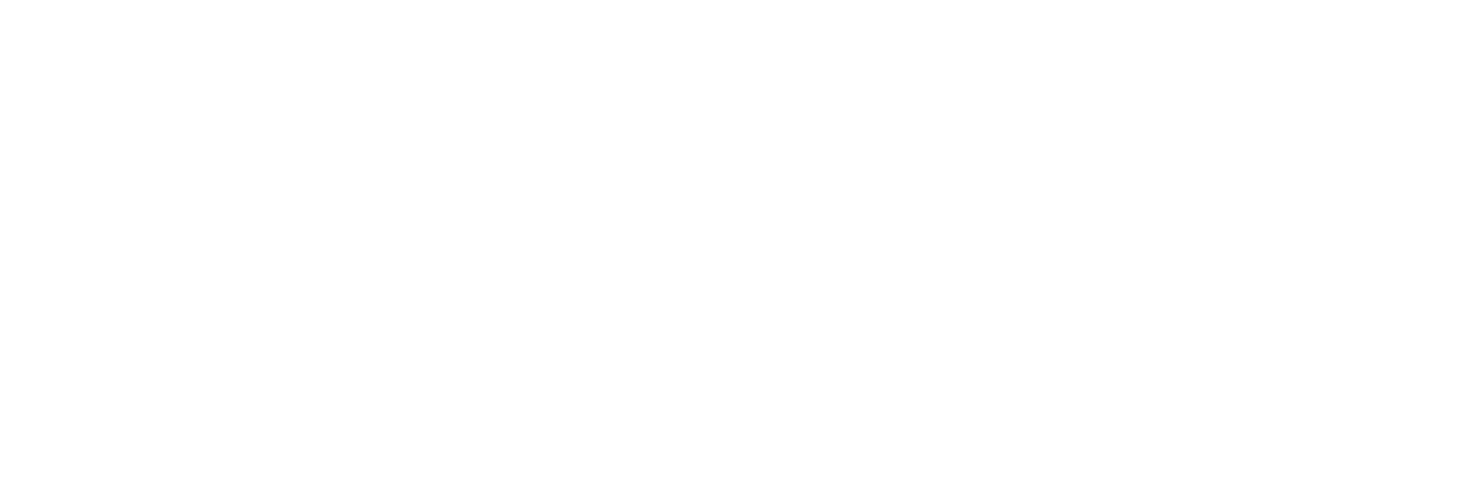 White Logo