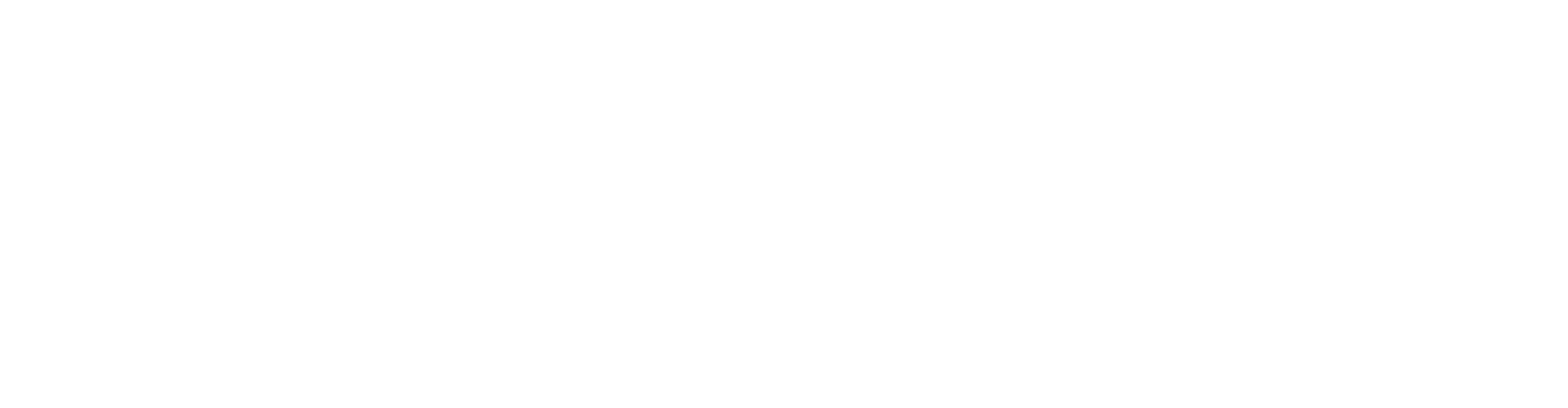 White Logo